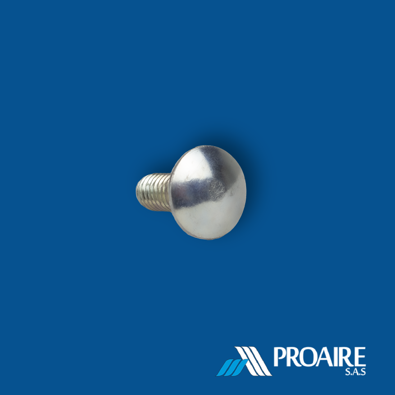 Tornillos de Carriage